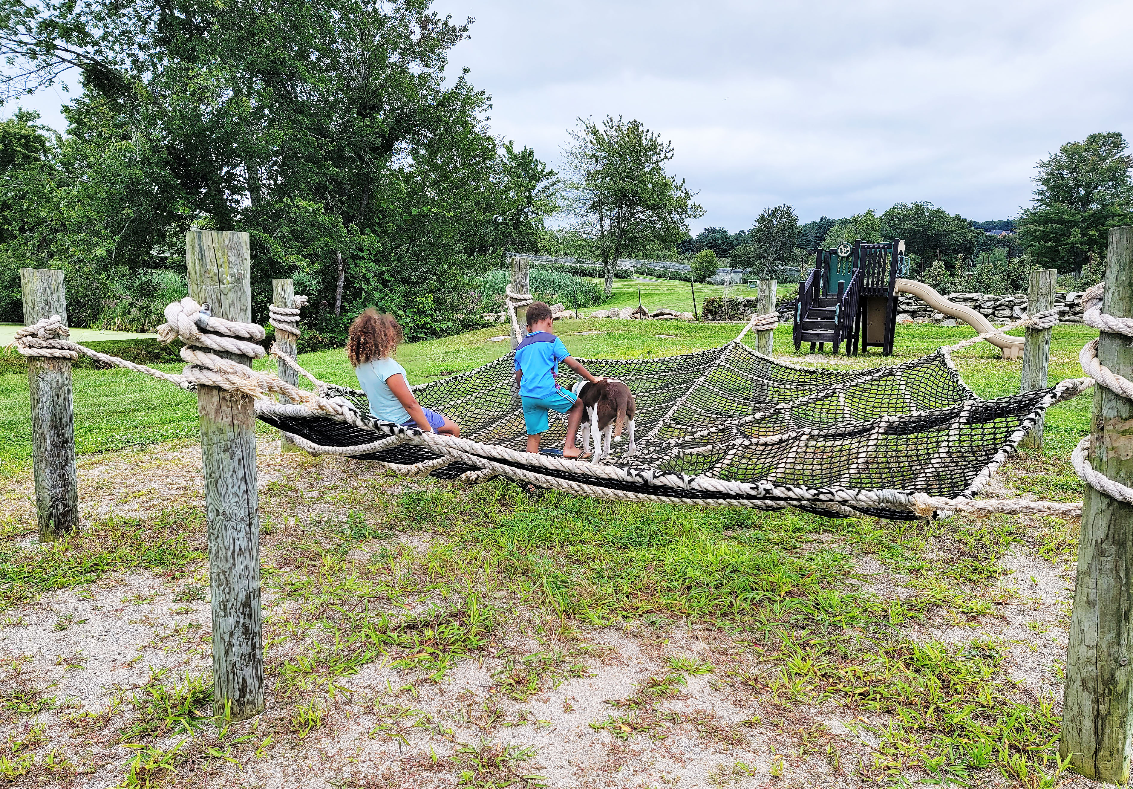 Glastonburry conneticut orchard playground zee jj dash